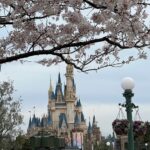 Sakura Blossoms and Tokyo Disneyland Castle